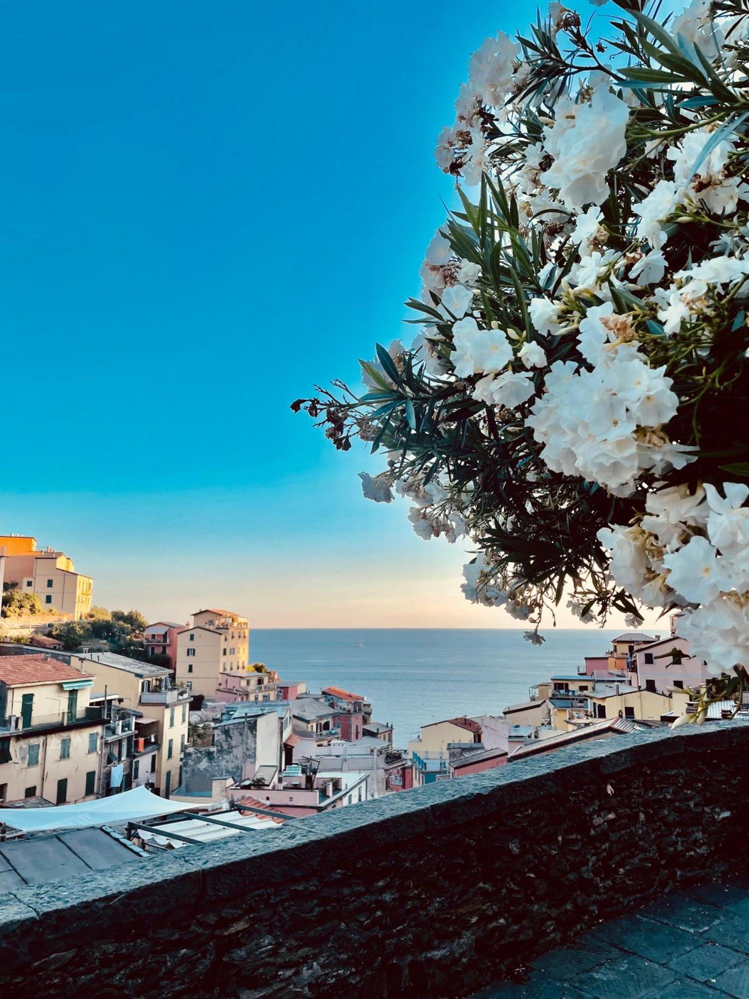 5Terreontherocks Riomaggiore Zewnętrze zdjęcie